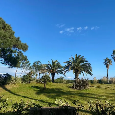 Appart hôtel Résidence Les Chênes Borgo (Corsica)