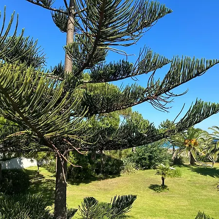 Les Chenes Borgo (Corsica)