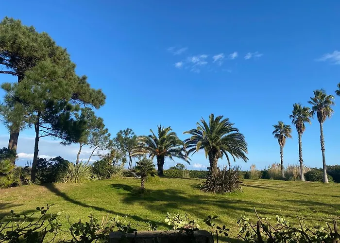 Aparthotel Les Chenes Borgo (Corsica)
