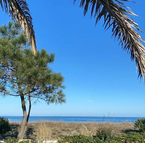 Les Chenes بورجو