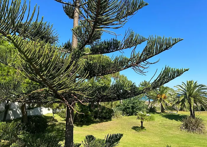 Les Chenes Борго